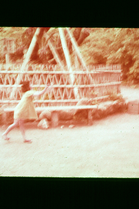 Japan 1954