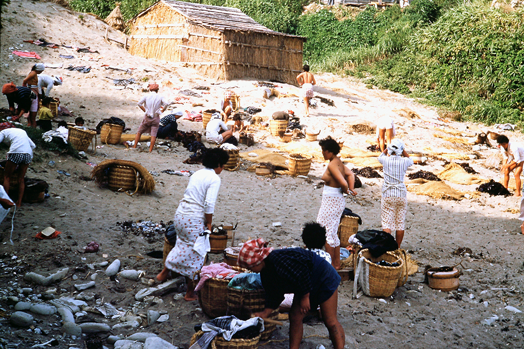 Japan 1954