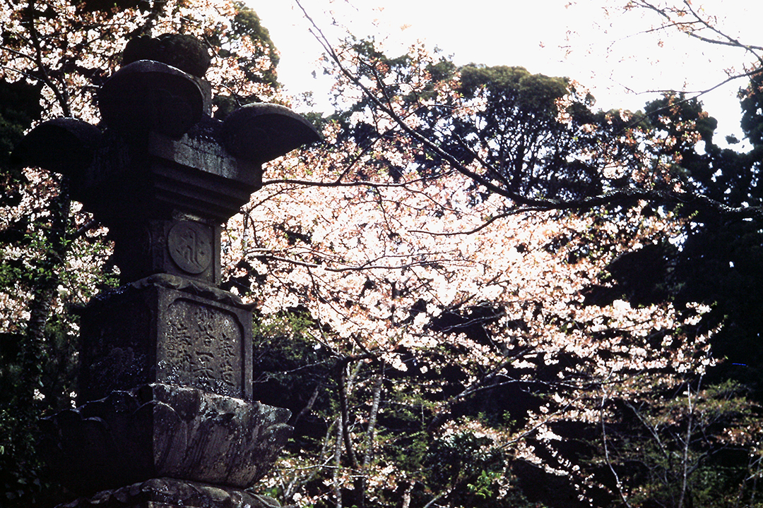 Japan 1954