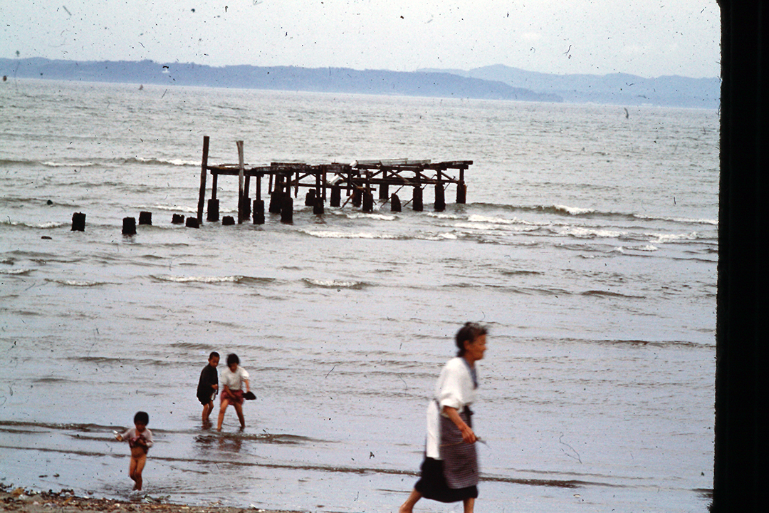 Japan 1954